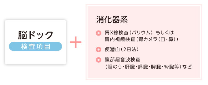 脳ドック検査項目+消化器系 ・胃X線検査(バリウム) もしくは胃内視鏡検査(胃カメラ(口・鼻)) ・便潜血(2日法)腹部超音波検査 ・(胆のう・肝臓・膵臓・脾臓・腎臓等)など